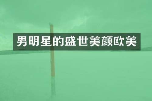 男明星的盛世美颜欧美