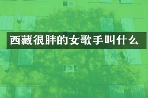 西藏很胖的女歌手叫什么