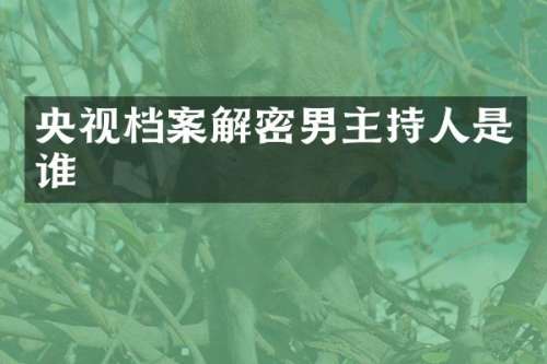 央视档案男主持人是谁