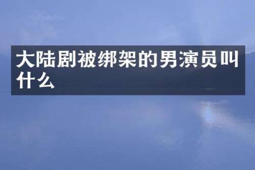 大陆剧架的男演员叫什么