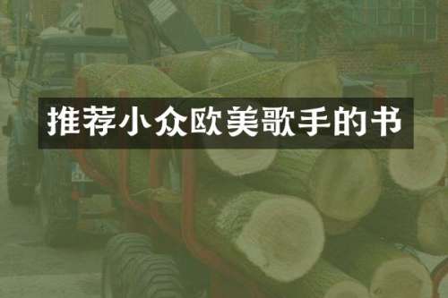推荐小众欧美歌手的书