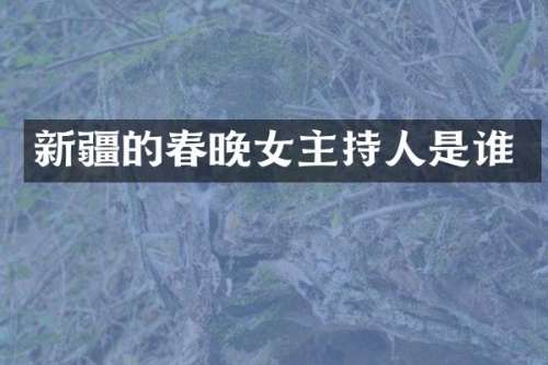 新疆的女主持人是谁