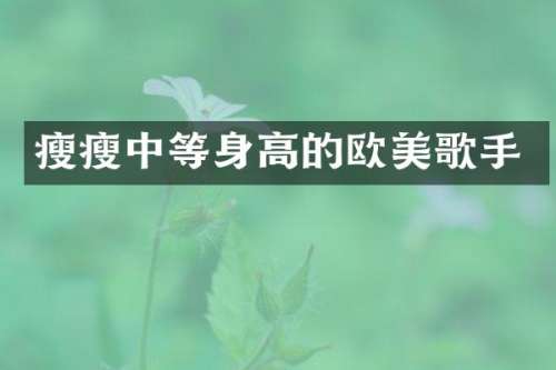 瘦瘦中等身高的欧美歌手