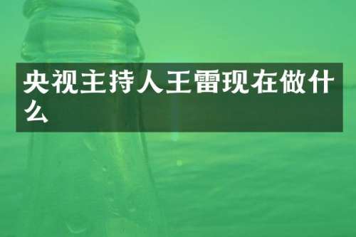 央视主持人王雷现在做什么
