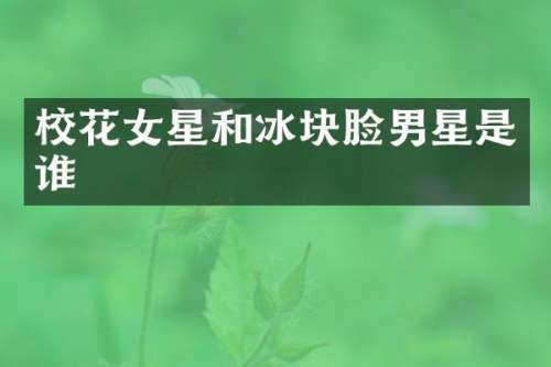 校花女星和冰块脸男星是谁