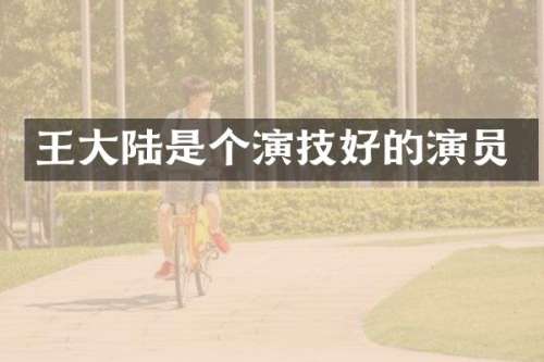 王大陆是个演技好的演员