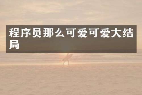 程序员那么可爱可爱大结局