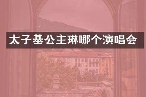 太子基公主琳哪个演唱会