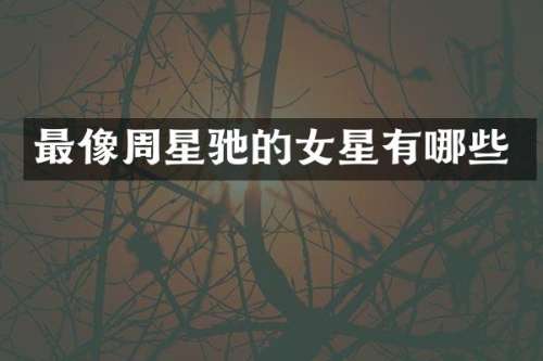 最像周星驰的女星有哪些