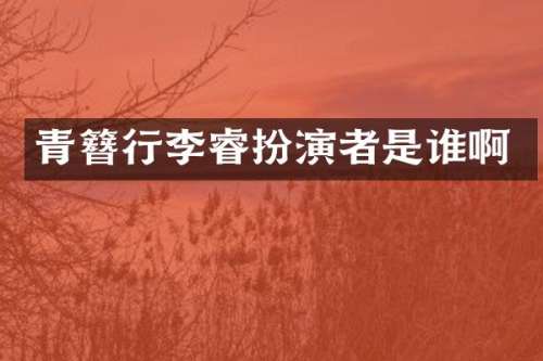 青簪行李睿扮演者是谁啊