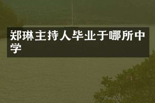 郑琳主持人毕业于哪所中学