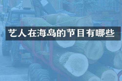 艺人在海岛的节目有哪些