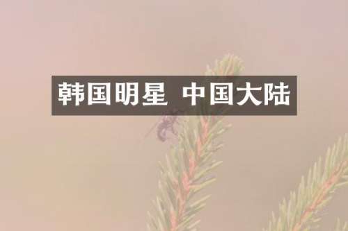 韩国明星 中国大陆