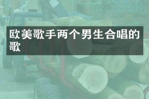 欧美歌手两个男生合唱的歌