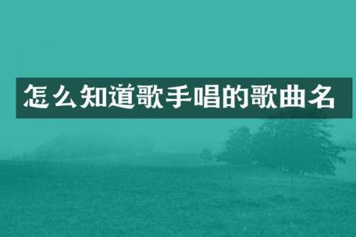 怎么知道歌手唱的歌曲名