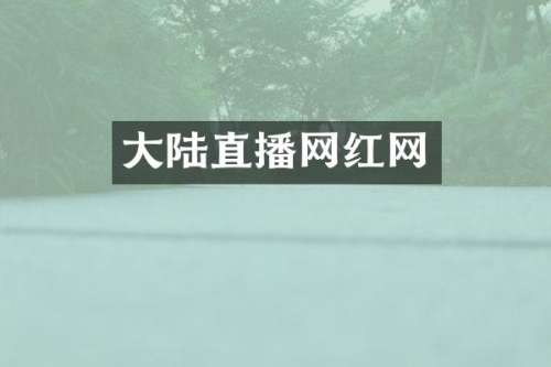 大陆直播网红网