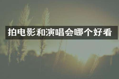 拍电影和演唱会哪个好看