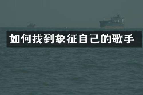 如何找到象征自己的歌手