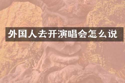 外国人去开演唱会怎么说