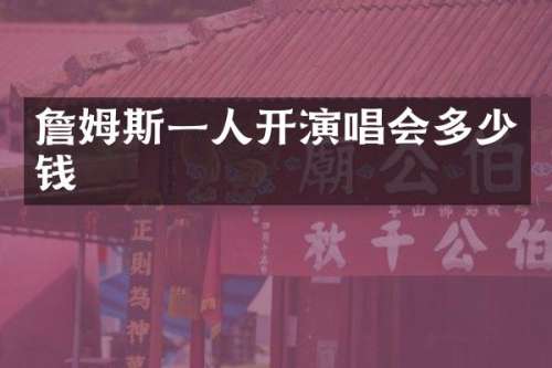 詹姆斯一人开演唱会多少钱