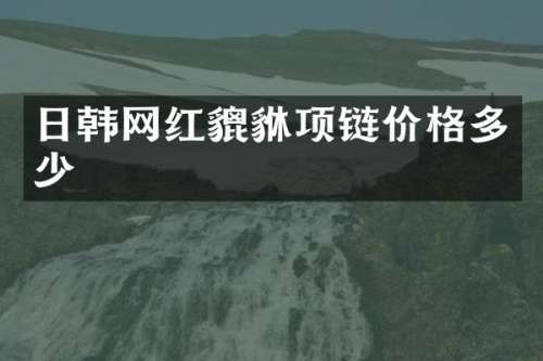 日韩网红貔貅项链价格多少