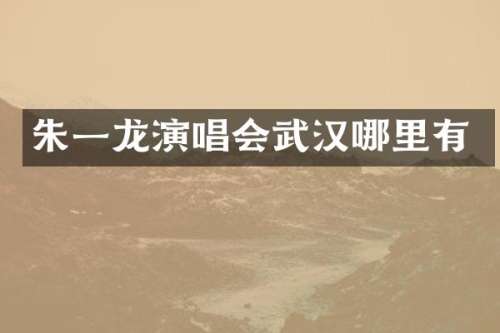 朱一龙演唱会武汉哪里有