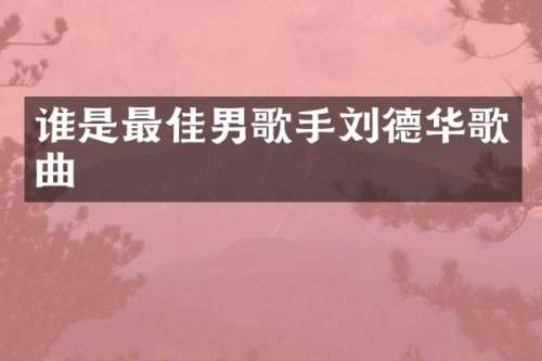 谁是最佳男歌手刘德华歌曲