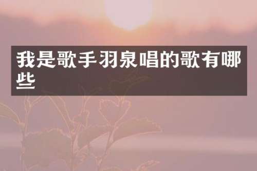我是歌手羽泉唱的歌有哪些