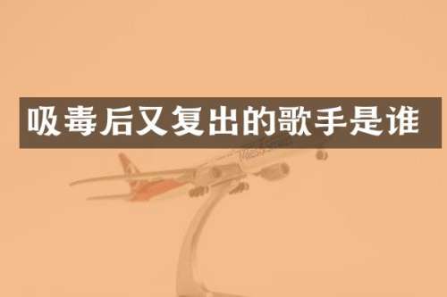 吸毒后又复出的歌手是谁