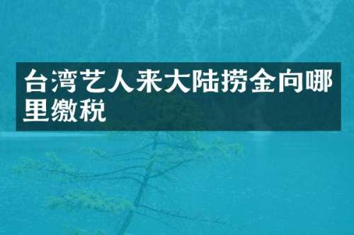 台湾艺人来大陆捞金向哪里缴税