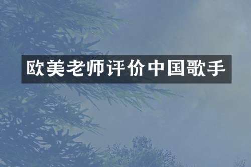 欧美老师评价中国歌手