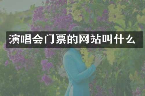 演唱会门票的网站叫什么
