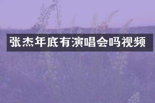 张杰年底有演唱会吗视频