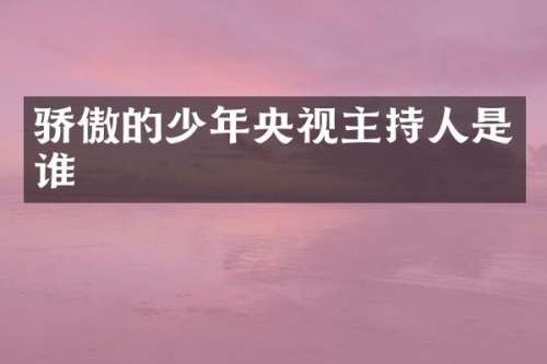 骄傲的少年央视主持人是谁