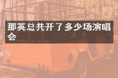 那英总共开了多少场演唱会