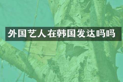 外国艺人在韩国发达吗吗