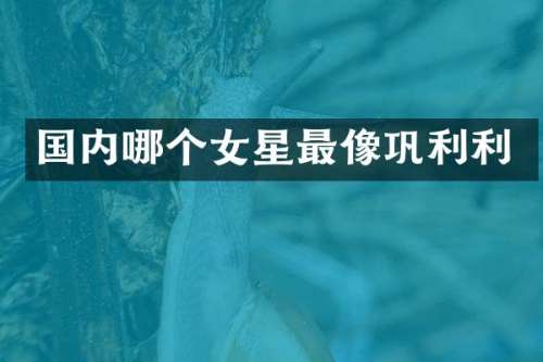 国内哪个女星最像巩利利