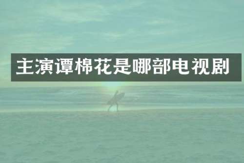 主演谭棉花是哪部电视剧