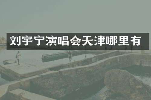 刘宇宁演唱会天津哪里有