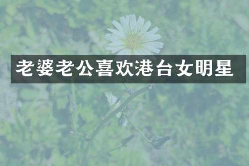 老婆老公喜欢港台女明星
