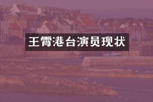 王霄港台演员现状