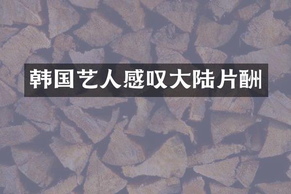韩国艺人感叹大陆片酬