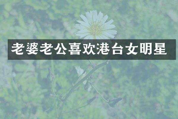 老婆老公喜欢港台女明星