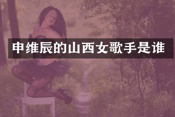 申维辰的山西女歌手是谁