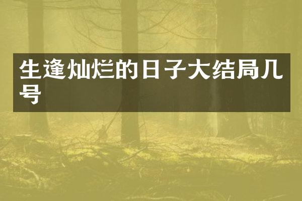 生逢灿烂的日子大结局几号