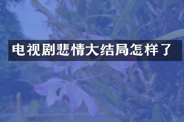 电视剧悲情大结局怎样了