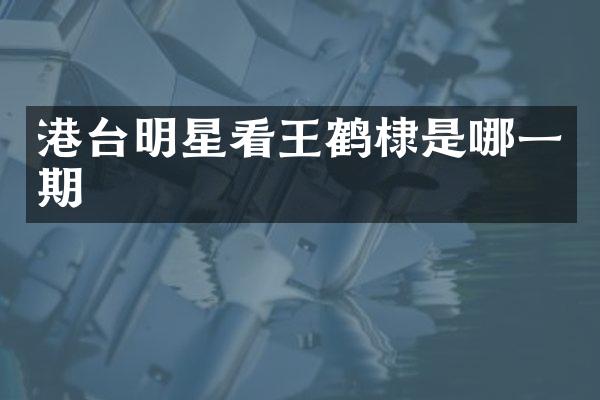 港台明星看王鹤棣是哪一期
