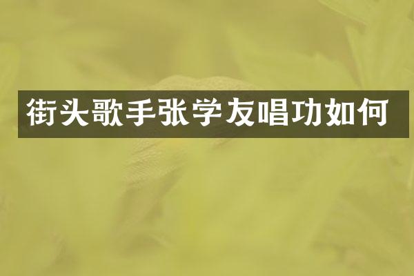 街头歌手张学友唱功如何
