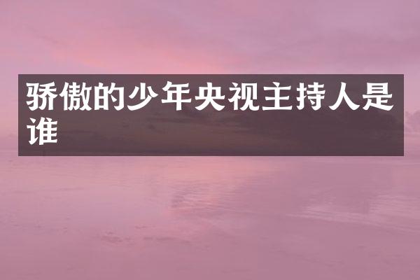 骄傲的少年央视主持人是谁