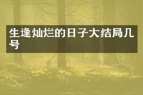 生逢灿烂的日子大结局几号